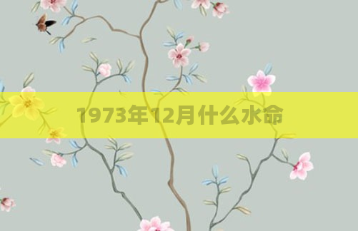 1973年12月什么水命
