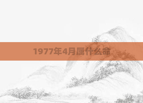 1977年4月属什么命