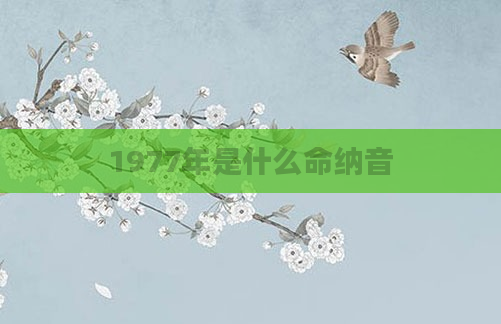 1977年是什么命纳音