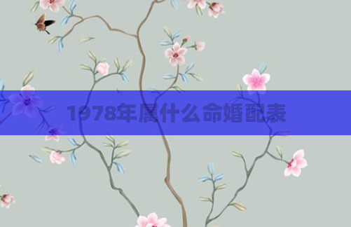 1978年属什么命婚配表
