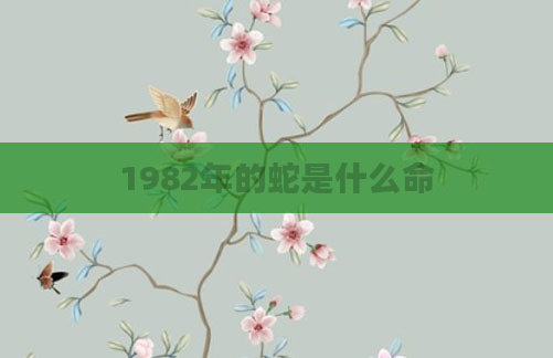 1982年的蛇是什么命