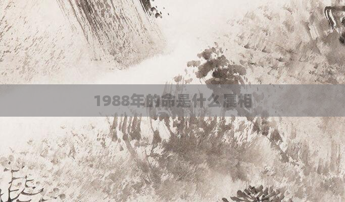 1988年的命是什么属相