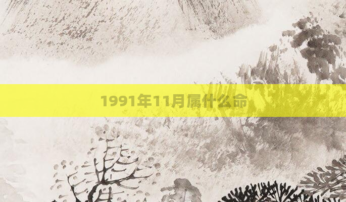 1991年11月属什么命