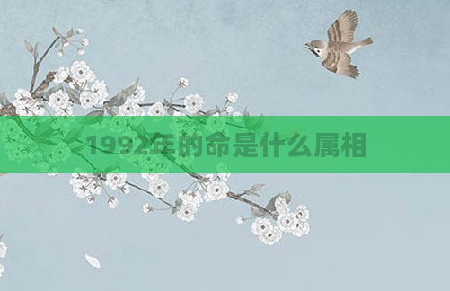 1992年的命是什么属相