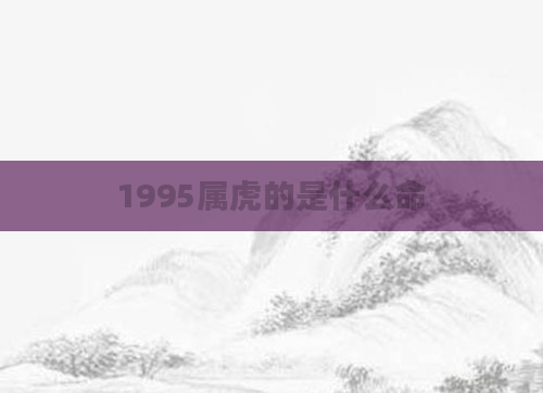 1995属虎的是什么命