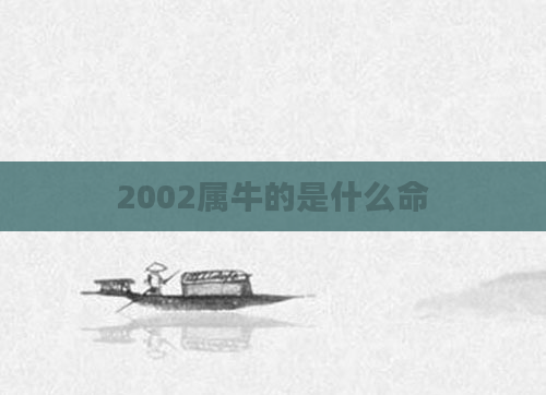 2002属牛的是什么命