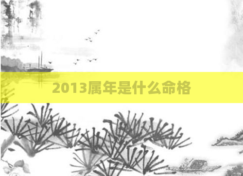 2013属年是什么命格