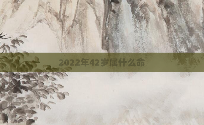 2022年42岁属什么命
