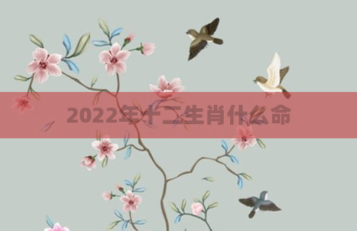2022年十二生肖什么命