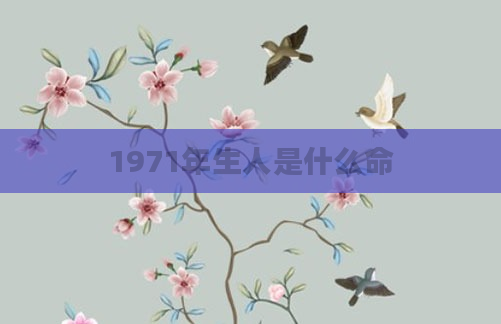 1971年生人是什么命
