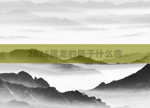 2025属龙的属于什么命