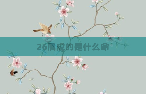 26属虎的是什么命