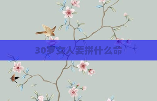 30岁女人要拼什么命