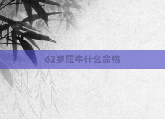 62岁属牛什么命格