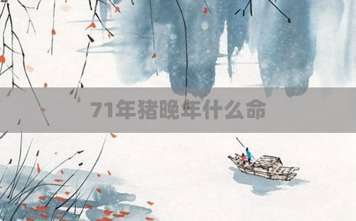 71年猪晚年什么命