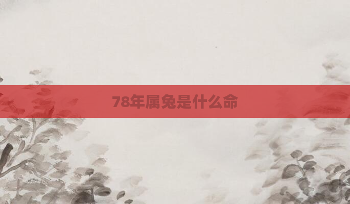 78年属兔是什么命