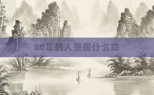 80年的人是属什么命