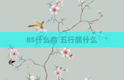 85什么命 五行属什么