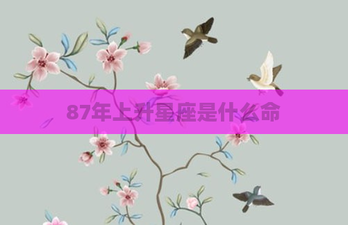 87年上升星座是什么命
