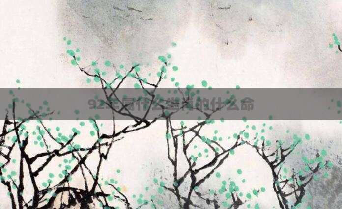 92年属什么生肖的什么命