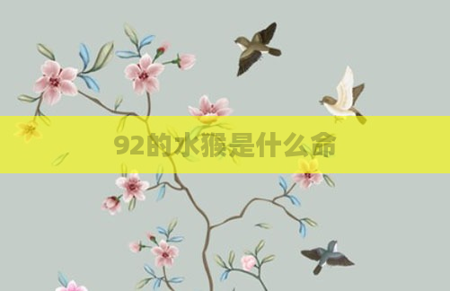 92的水猴是什么命