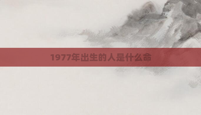 1977年出生的人是什么命