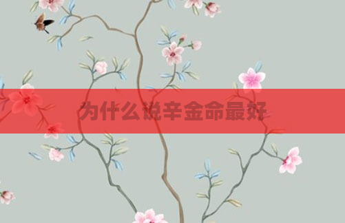 为什么说辛金命最好
