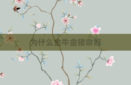 为什么金牛金猪命好
