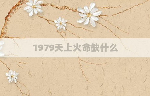 1979天上火命缺什么