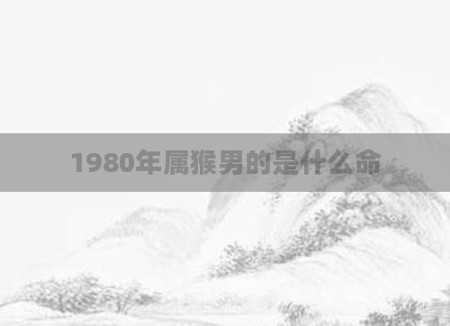 1980年属猴男的是什么命