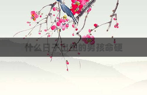 什么日子出生的男孩命硬