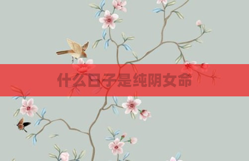 什么日子是纯阴女命