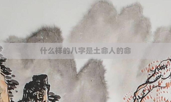 什么样的八字是土命人的命