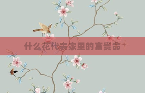 什么花代表家里的富贵命