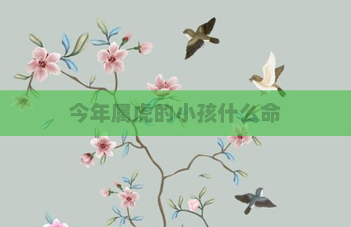 今年属虎的小孩什么命