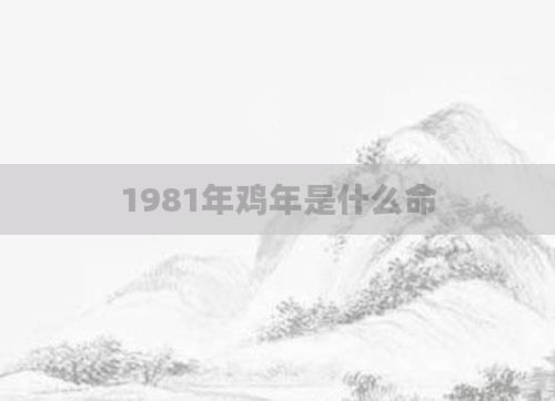 1981年鸡年是什么命