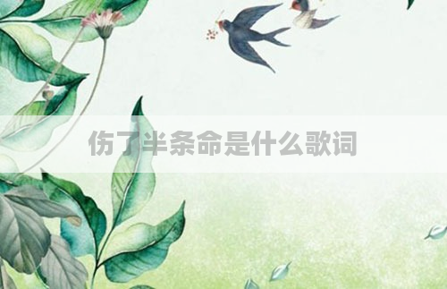 伤了半条命是什么歌词