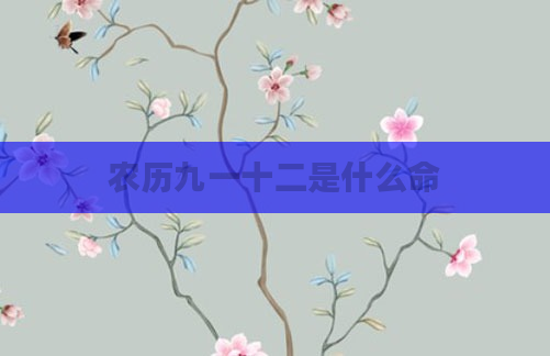 农历九一十二是什么命