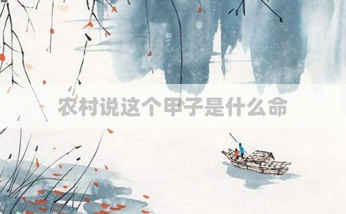 农村说这个甲子是什么命