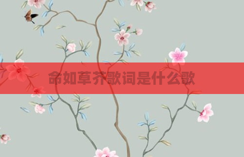 命如草芥歌词是什么歌