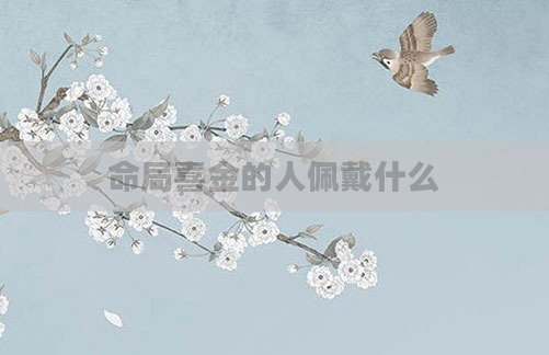 命局喜金的人佩戴什么