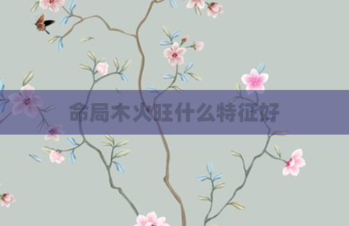 命局木火旺什么特征好