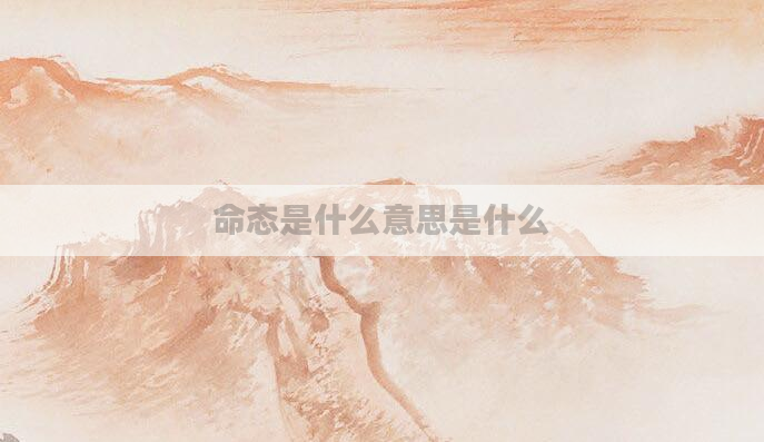 命态是什么意思是什么
