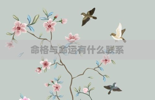 命格与命运有什么联系