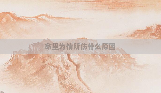 命里为情所伤什么原因
