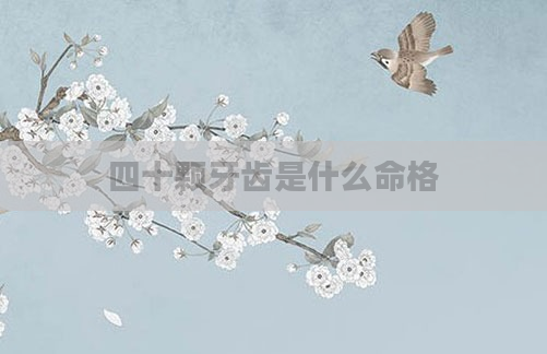 四十颗牙齿是什么命格