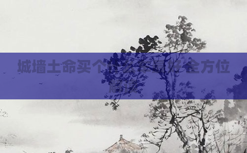 城墙土命买个什么车最好 全方位解读