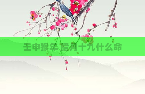 壬申猴年 腊月十九什么命