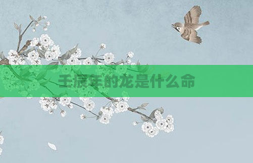 壬辰年的龙是什么命