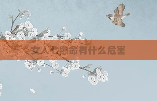 女人七煞命有什么危害